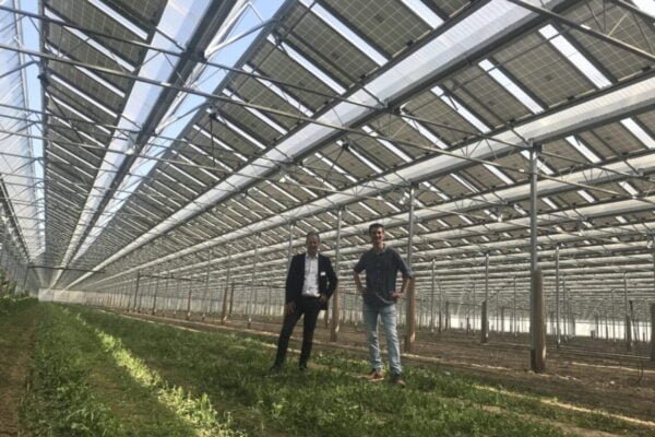 Dos personas debajo de una instalación fotovoltaica en un campo cultivado.