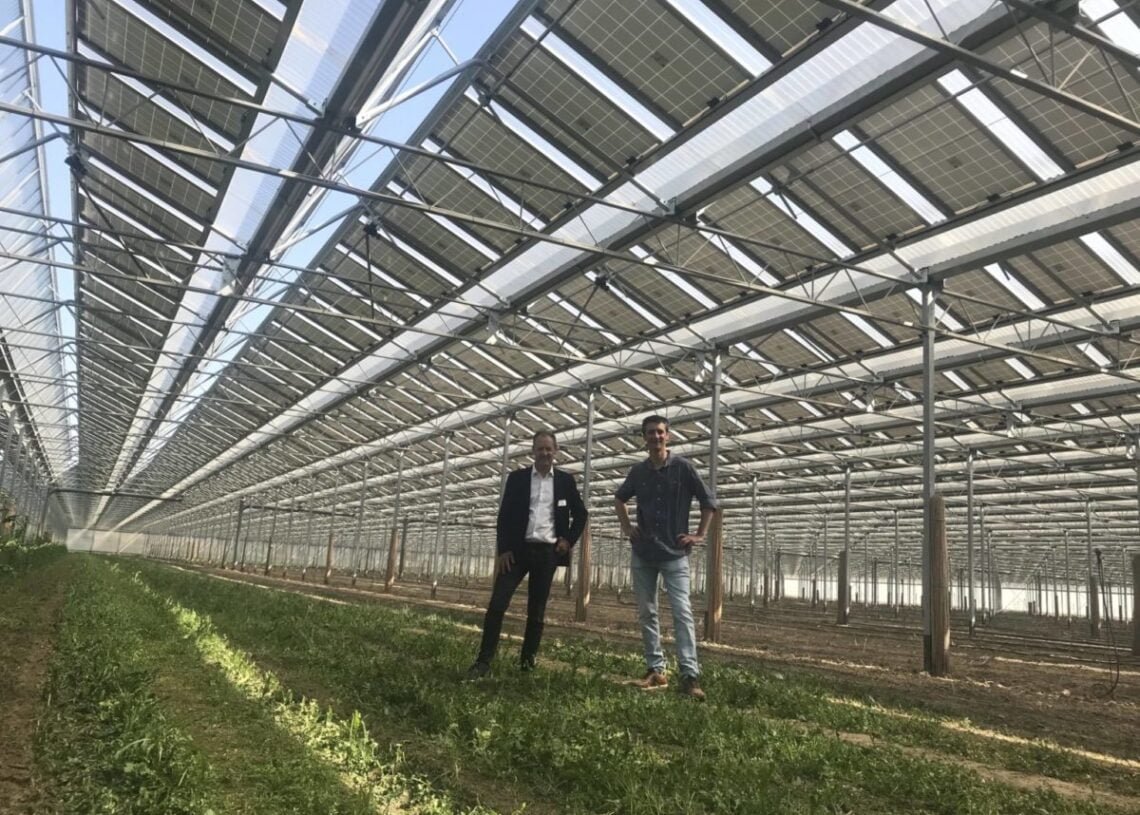 Dos personas debajo de una instalación fotovoltaica en un campo cultivado.