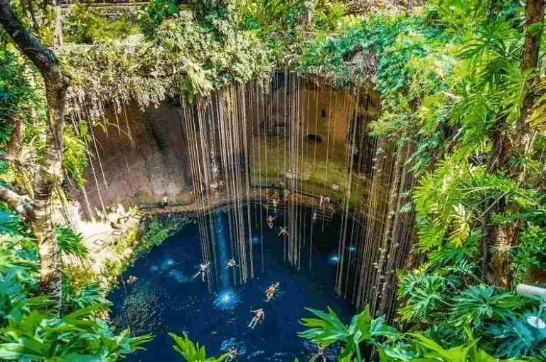 Cenote en Yucatán reserva el Corchito.