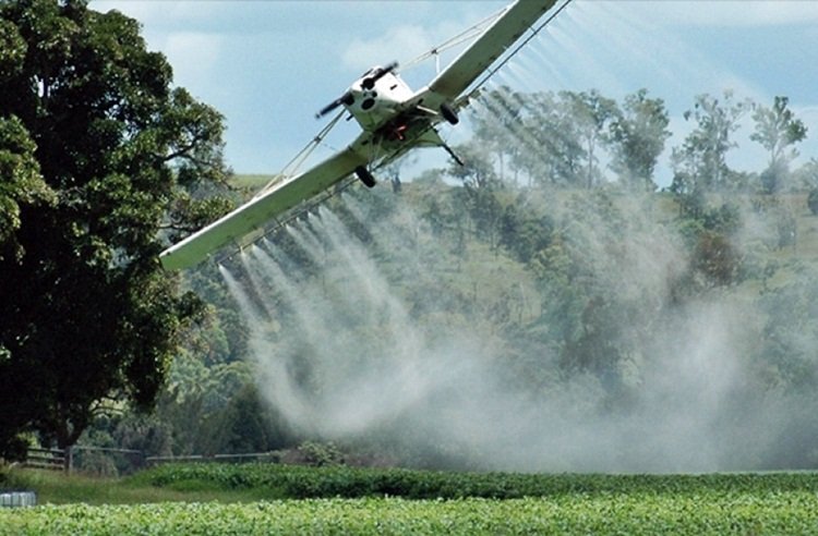 Avión fumigando un campo de cultivo.